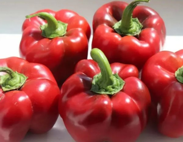 Перец сладкий Рубиновый кубок — изображение 2