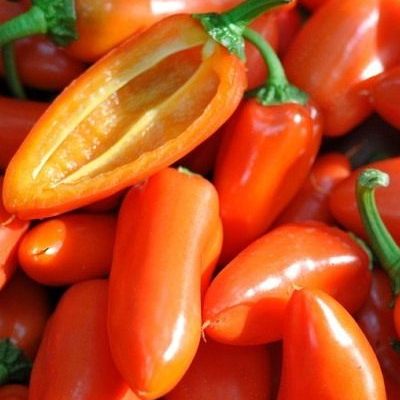 Перец Оранжевая лакомка — изображение 2